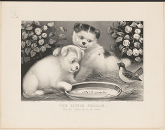 ambiguous_feral ambiguous_gender avian_feet beak biped bipedal_feral detailed_background feathered_wings feathers feral floppy_ears flower folded_ears fur group leaf looking_at_another lying on_front paws plant plate quadruped shrub standing tail tail_feathers text trio wings young young_ambiguous young_feral unknown_artist currier_and_ives public_domain avian bird canid canine canis domestic_dog mammal 1873 19th_century absurd_res ancient_art english_text hi_res huge_filesize lithograph_(artwork) monochrome traditional_media_(artwork)