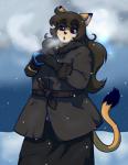 5_fingers anthro clothed clothing female fingers hair humanoid_hands long_tail open_mouth outside overweight overweight_anthro overweight_female simple_background slightly_chubby snow solo tail queenkami kami_(queenkami) cougar felid feline mammal 2019 digital_media_(artwork)