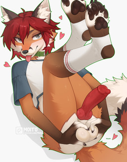 4_toes animal_genitalia animal_penis anthro ball_grab balls blep bottomless bottomless_anthro bottomless_male brown_pawpads butt canine_genitalia canine_penis clothed clothed_anthro clothing collar crop_top dipstick_tail erection feet femboy footwear fur genitals green_collar grey_eyes hair heart_symbol knot knotted_penis male markings orange_body orange_fur pawpads penis red_hair red_penis sheath shirt socks solo stirrup_socks tail tail_markings toeless_footwear toes tongue tongue_out topwear white_balls white_sheath moito canid canine fox mammal absurd_res hi_res