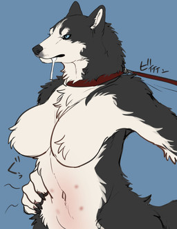 angry anthro big_breasts bodily_fluids breasts collar drooling ears_back female hungry leash leash_pull multi_nipple naturally_censored nipple_tuft nipples nude pivoted_ears saliva solo tuft wide_hips nekomata_ftnr canid canine canis domestic_dog husky mammal nordic_sled_dog spitz hi_res