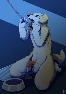 anthro balls biped bodily_fluids collar drooling flaccid genital_fluids kneeling leash leash_pull male nude penis precum saliva solo tazima canid canine mammal hi_res