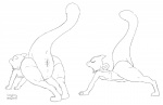 2016 ambiguous_gender anus anus_only feral generation_1_pokemon legendary_pokemon longlevy mewtwo monochrome nintendo null open_mouth pokemon pokemon_(species) semi-anthro simple_background sketch solo stretching tailbutt yawn