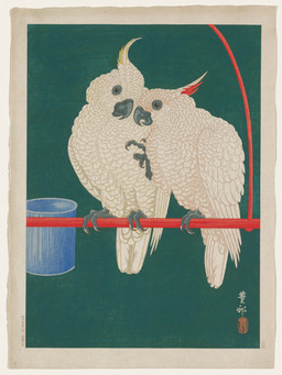 ambiguous_feral ambiguous_gender avian_feet beak biped bipedal_feral cjk_character duo feathered_crest feathered_wings feathers feet feral head_crest raised_foot scuted_feet scutes simple_background standing tail tail_feathers talons text toes white_body white_feathers wings ohara_koson public_domain avian bird cockatoo parrot 20th_century absurd_res ancient_art hi_res japanese_text traditional_media_(artwork)