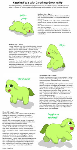 ambiguous_feral ambiguous_gender animal_noises chirping eyes_closed featureless_crotch featureless_feet featureless_hands feet feral fur green_body green_eyes green_fur green_tail happy lying monotone_body monotone_fur neonate on_front open_mouth solo standing tail tail_motion tailwag text young young_ambiguous young_feral carpdime fluffy_pony avocado_(fluffy_pony) fluffy_pony_(species) mammal digital_media_(artwork) english_text hi_res shaded story story_in_description