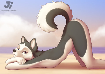 5_fingers anthro ass_up beach black_nose blue_eyes butt cloud countershading day female fingers flat_chested fur grey_body grey_fur logo looking_at_viewer lordosis lying multicolored_body multicolored_fur nude nude_beach on_front outdoor_nudity outside presenting presenting_hindquarters raised_tail seaside side_view sky smile smiling_at_viewer solo tail text two_tone_body two_tone_fur white_body white_fur jishinu hana_(jishinu) canid canine canis domestic_dog husky mammal nordic_sled_dog spitz 2021 artist_logo artist_name digital_media_(artwork) portrait three-quarter_portrait