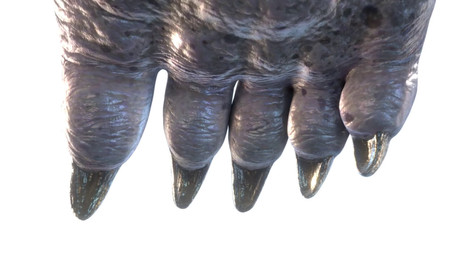 5_fingers abstract_background ambiguous_gender anthro black_finger_claws claws finger_claws fingers first_person_view hand_focus logo looming looming_over solo text ovis_wooloo sound_warning skydance's_behemoth shacklehide mammal marine monster pinniped walrus 16:9 2025 3d_(artwork) 3d_animation animated artist_logo artist_name digital_media_(artwork) hi_res short_playtime sound webm widescreen