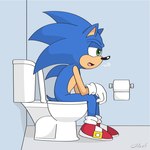 bathroom implied_pee implied_scat male relieved sighing sitting sitting_on_toilet solo toilet toilet_paper toilet_use mister-survocado sega sonic_the_hedgehog_(series) sonic_the_hedgehog eulipotyphlan hedgehog mammal 1:1 hi_res