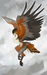 ambiguous_gender anthro beak feathered_wings feathers fur solo wings juliathedragoncat avian 5:8 digital_media_(artwork) hi_res