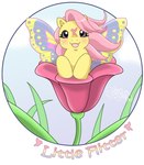 ambiguous_gender equid equine feral flower fur grass hair hasbro hi_res hybrid insect_wings kuro-rakuen lepidopteran_wings little_flitter_(mlp) mammal mlp_g1 my_little_pony open_mouth open_smile pink_eyes pink_hair plant pre-g4 smile solo summer_wing_pony wing_pony_(mlp) wings yellow_body yellow_fur