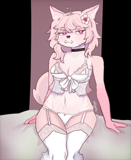 accessory anthro bed black_nose bra breasts cherry_blossom choker clothing female flower flower_in_hair fur furniture hair hair_accessory jewelry kemono lace lace_bra legwear lingerie necklace on_bed piercing pink_body pink_eyes pink_fur pink_hair plant plant_hair prunus_(flower) pseudo_hair short_hair simple_background sitting sitting_on_bed smile solo stockings underwear white_clothing white_lingerie wide_hips shantohru shanty canid canine fox mammal absurd_res hi_res