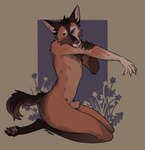 animal_genitalia anthro genitals kneeling looking_at_viewer male nude paws pose sheath solo tail zucchinifuzz canid canine fox mammal hi_res