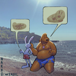 anthro beach belly big_belly biped blush body_hair brown_body brown_fur clothed clothing duo floppy_ears fossil fur happy_trail head_tuft holding_object jewelry kneeling larger_anthro larger_male male moobs navel necklace nipples outside overweight overweight_anthro overweight_male photo_background size_difference slim smaller_anthro smaller_male snout speech_bubble swimming_trunks swimwear topless tuft adolfinafon sam_and_max max_(sam_and_max) samuel_dog tralalero_tralala canid canine canis domestic_dog lagomorph leporid mammal rabbit 2025 hi_res photography_(artwork)