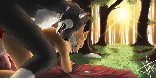 all_fours anal anal_penetration animal_genitalia animal_penis anthro backsack balls bed_sheet bedding black_body black_fur bodily_fluids breath brown_body brown_fur canine_genitalia canine_penis collar cum cum_inside detailed_background doggystyle duo erection eyes_closed forest from_behind_position fur genital_fluids genitals grass jewelry knot looking_back male male/male male_penetrated male_penetrating male_penetrating_male multicolored_body multicolored_fur necklace one_eye_closed open_mouth outside panting penetration penis perineum plant rock romantic romantic_ambiance romantic_couple sex smile sunset teeth tongue tree white_body white_fur velkiel_(artist) kyden canid canine canis fennec_fox fox mammal true_fox wolf 2016