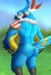 anthro beak blue_body blue_feathers butt feathers looking_at_viewer looking_back looking_back_at_viewer male multicolored_body multicolored_feathers nude orange_body orange_feathers rear_view solo tail tail_feathers white_body white_feathers latranscanis breath_of_the_wild nintendo the_legend_of_zelda kass_(tloz) avian rito absurd_res digital_media_(artwork) hi_res