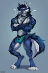 abs anthro athletic athletic_anthro athletic_male bdsm_gear biting_leash black_body black_claws black_fur black_hair black_nose black_tail blue_body blue_eyes blue_fur blue_hair blue_tail bulge claws closed_smile clothing collar crossed_arms ear_piercing ear_ring facial_markings fangs feet fingers fur grey_background hair harness head_markings heterochromia jewelry jockstrap leash leashed_collar looking_at_viewer male markings mouth_closed muscular muscular_anthro muscular_male necklace paws piercing pubes purple_eyes ring_piercing simple_background smile solo standing straps striped_body striped_fur stripes tail tail_markings teeth underwear white_body white_fur white_paws white_tail thescraw rogue_fang canid canine canis mammal wolf 2024 absurd_res artist_name digital_media_(artwork) hi_res signature