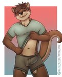 anthro bottomwear bulge clothed clothing clothing_lift countershading male navel shirt shirt_lift shorts simple_background solo standing topwear whiskers mytigertail chris_(chris28) mammal mustelid otter 2019