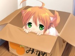 adoption_box ahoge box box_of_cuteness cardboard cardboard_box clothed clothing container dog_tail female fur game_cg green_eyes hair in_box in_container looking_at_viewer looking_up orange_body orange_fur orange_hair orange_tail short_hair solo tail cotora if_it_fits_i_sits_(meme) wanko_to_kurasou mikan_(wanko) animal_humanoid canid canid_humanoid canine canine_humanoid canis dog_humanoid humanoid mammal mammal_humanoid 4:3 meme