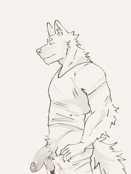 anthro blush blush_lines bottomwear circumcised clothed clothing genitals half-erect humanoid_genitalia male muscular open_bottomwear open_clothing open_pants pants pants_around_thighs penis shy side_view solo flokyss canid mammal 3:4 hi_res