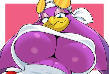 anthro beak bedroom_eyes big_breasts blue_eyes breasts clothing eyewear eyewear_on_head female gloves handwear kerchief looking_at_viewer low-angle_view narrowed_eyes nipple_outline nipples non-mammal_breasts non-mammal_nipples purple_body seductive simple_background smile solo sunglasses sunglasses_on_head topwear under_boob wearing_sunglasses sonicguru sega sonic_riders sonic_the_hedgehog_(series) wave_the_swallow avian bird hirundinid oscine passerine swallow_(bird) digital_media_(artwork) hi_res