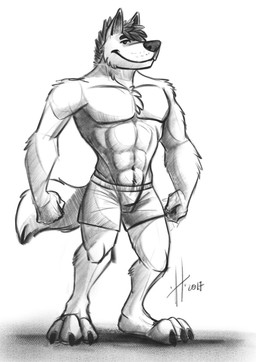 abs anthro claws closed_smile clothed clothing front_view hair looking_at_viewer male male_anthro mouth_closed muscular muscular_anthro muscular_male navel pecs short_hair smile solo standing tail toe_claws topless underwear hufnaar canid canine mammal 2017 dated full-length_portrait hi_res monochrome portrait sketch