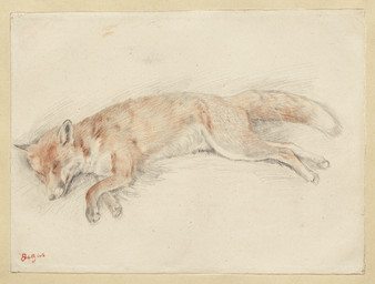 ambiguous_feral ambiguous_gender digitigrade dipstick_tail eyes_closed feral fur lying markings on_side orange_body orange_fur paws quadruped side_view simple_background solo tail tail_markings edgar_degas canid canine fox mammal red_fox true_fox 19th_century absurd_res ancient_art chalk_(artwork) hi_res huge_filesize signature traditional_media_(artwork)