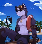 anthro beach bulge clothed clothing dark_body dark_fur eyewear fur hat headgear headwear male nipples outside palm_tree plant sea seaside shell sitting sky solo sunglasses surfboard swimwear topless tree water rygel_spkb rygel_(rygel_spkb) mammal procyonid raccoon