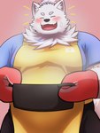 anthro apron bandage bandage_on_face belly blush clothing cooking_pot fur handwear male oven_mitts overweight overweight_male smile solo steam white_body white_fur xizioix_210 lifewonders live_a_hero yohack canid canine canis domestic_dog mammal nordic_sled_dog samoyed spitz 3:4 absurd_res hi_res