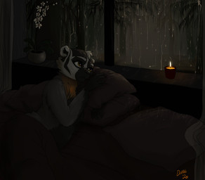 anthro bed biped black_body black_fur black_nose brown_eyes candle curtains dark detailed_background female fire forest fur furniture inside looking_out_window lying nude on_bed orange_body orange_fur pillow plant raining slightly_chubby solo tree under_covers white_body white_fur window daliahsart badger mammal mustelid musteline hi_res