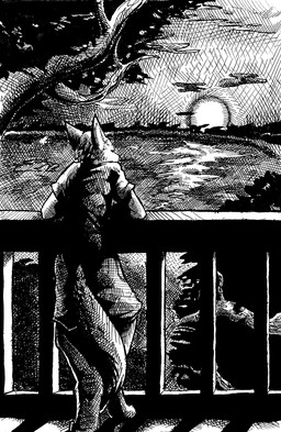 anthro balcony bottomwear clothing detailed_background high_place landscape male peaceful scenic_view shirt shorts solo sunset t-shirt tail topwear suck_mcjones canid canine fox mammal 2010 black_and_white cross-hatching hatching_(art) monochrome shaded