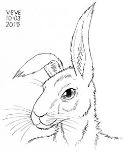 ambiguous_gender anthro arm_tuft cheek_tuft facial_tuft floppy_ears glistening glistening_eyes head_tuft inner_ear_fluff long_ears neck_tuft shoulder_tuft solo tuft whiskers skyelegs lagomorph leporid mammal rabbit 2015 black_and_white headshot_portrait monochrome portrait signature