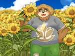 anthro belly brown_body brown_fur clothing detailed_background eyewear flower flower_field fur glasses hat headgear headwear male overweight plant solo straw_hat sunflower yaki_atsuage lifewonders tokyo_afterschool_summoners volos_(tas) bear mammal hi_res