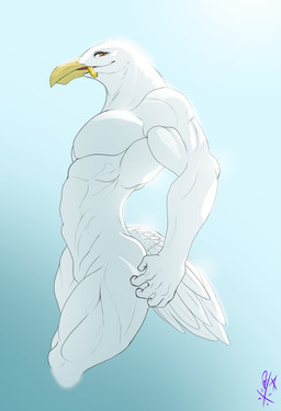 5_fingers anthro beak biped feathers fingers humanoid_hands male muscular muscular_anthro muscular_male muscular_thighs nude_anthro nude_male solo white_body white_feathers yellow_beak ghstaquila avian bird gull lari larid 2026 absurd_res hi_res signature