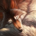 ambiguous_gender black_nose brown_body brown_fur eyes_closed feral fur light sleeping solo whiskers kippycube canid canine canis mammal wolf 1:1 2015 lighting