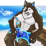 abs anthro blue_clothing blue_swimming_trunks blue_swimwear brown_body clothing countershading green_eyes male muscular nipple_outline pecs seaside shirtless_anthro shirtless_male sitting solo swimming_trunks swimwear tail white_body mukyoukyouya utau aro_rouon canid canine canis mammal wolf 1:1