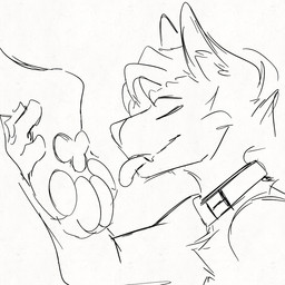 anthro collar feet foot_fetish foot_focus foot_lick foot_play licking male pawpads paws sex solo tongue duskovich vlada_dusk mythology canid canid_demon canine canis demon hellhound mammal mythological_canine mythological_creature wolf 1:1 animated sketch