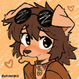anthro blinking brown_hair clothing collar eyebrows eyelashes eyewear eyewear_on_head female female_anthro floppy_ears hair heart_symbol looking_at_viewer object_in_mouth short_hair solo sunglasses sunglasses_on_head wearing_sunglasses jayrnski buttercup_(jayrnski) canid canine canis domestic_dog mammal 1:1 2026 animated