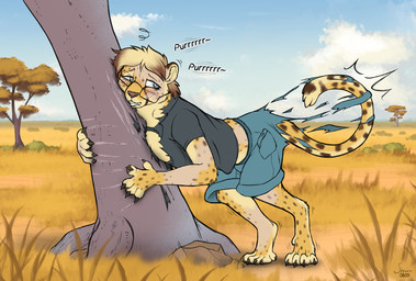 5_fingers 5_toes black_claws black_clothing black_shirt black_topwear blonde_hair blue_bottomwear blue_clothing blue_eyes blue_shorts blush bottomwear brown_hair brown_nose claws clothing cloud day detailed_background dewclaw eyewear fangs feet fingers fur glasses grass growth hair human_to_anthro light_body light_skin markings mid_transformation multicolored_body multicolored_fur multicolored_hair outside pants_pockets plant rectangular_glasses savanna scratch_mark shirt shorts solo species_transformation spiral spiral_eyes spots spotted_body spotted_fur spotted_markings spotted_tail tail tail_burst tail_growth tail_markings teeth text toes topwear torn_clothing transformation tree two_tone_body two_tone_fur two_tone_hair yellow_body yellow_fur shrubie_fox milo_(shrubie_fox) cheetah felid feline human mammal 2025 dated hi_res signature