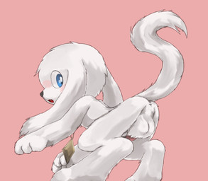 all_fours anus balls canine censored dog doraemon hatisiki ineffective_censorship looking_at_viewer looking_back male mammal nobita_and_the_haunts_of_evil peko penis raised_tail solo
Rating: Explicit
Score: 0
User: Neitsuke
Date: March 05, 2015 all_fours anus balls canine censored dog doraemon hatisiki ineffective_censorship looking_at_viewer looking_back male mammal nobita_and_the_haunts_of_evil peko penis raised_tail solo
Rating: Explicit
Score: 0
User: Neitsuke
Date: March 05, 2015