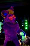 ambiguous_gender canine dj fur fursuit lights looking_at_viewer mammal photo solo wolf
Rating: Safe
Score: -1
User: Karurosu
Date: March 03, 2014