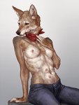 anthro bottomwear breasts clothed clothing female front_view fur gradient_background humanoid_hands kerchief looking_away multi_nipple neckerchief neckwear nipples pants pose simple_background sitting solo tan_body tan_fur topless koperyskril riley_(phazon-harbinger) canid canine canis coyote mammal 2020 hi_res pinup