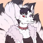 anthro clothing collar ear_piercing fur hair heterochromia inner_ear_fluff looking_at_viewer male multi_tail piercing solo spiked_collar spikes tail tuft kira_larsson canid canine fox mammal 1:1 hi_res