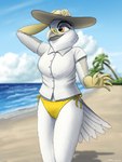 5_fingers anthro beach bikini bikini_bottom breasts clothed clothing day detailed_background dress_shirt feathers female fingers hat headgear headwear light non-mammal_breasts outside pantsless pose scuted_arms scutes seaside shadow shirt short_sleeved_shirt short_sleeves side-tie_bikini side-tie_clothing side-tie_swimwear sky solo standing string_bikini sun_hat sunlight swimwear tail tail_feathers topwear two-piece_swimsuit yellow_bikini_bottom fish_birb annie_(fish_birb) accipitrid accipitriform avian bird kite_(bird) white-tailed_kite 2022 absurd_res dated digital_media_(artwork) hi_res lighting pinup shaded signature