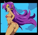 bikini blue_eyes breasts brown_body brown_skin butt clothing ear_piercing ear_ring female hair humanoid_pointy_ears long_hair not_furry piercing pointy_ears purple_hair ring_piercing simple_background solo swimwear two-piece_swimsuit niyuyu shantae_(series) wayforward shantae genie humanoid 2024 absurd_res hi_res