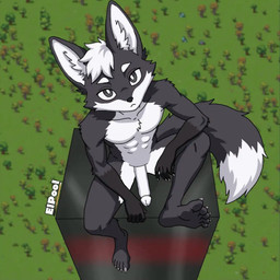 5_fingers 5_toes anthro black_eyes claws feet fingers fur genitals grey_body grey_fur hair inner_ear_fluff male nude penis solo tail toes tuft white_hair white_penis the_gobber elpool canid canine fox humanoid mammal scalie 1:1