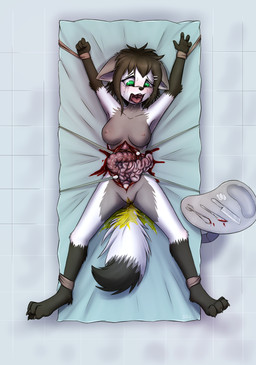 ankles_tied anthro areola blood bodily_fluids bound breasts clitoral_hood crying disembowelment feet female female_peeing fingers fur genital_fluids genitals gore gore_focus guts hair hands_tied intestines laceration lying medical_instrument nipples nude on_back open_mouth organs peeing saliva saliva_string scalpel scientific_instrument snuff solo spread_legs spreading surgical_instrument surgical_operation tail tears teeth toes tongue tongue_out torture urine urine_pool vulva wetting slowderpyguy arctic_fox canid canine canis fox mammal true_fox digital_media_(artwork) hi_res