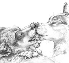 anthro claws duo eyes_closed finger_claws french_kissing fur hand_on_shoulder hand_under_chin kissing looking_at_another looking_at_partner male male/male nose_to_nose pointy_ears prick_ears romantic romantic_couple simple_background teeth whisker_spots whiskers white_background blotch scratches_volume_4 canid canine canis domestic_dog husky mammal nordic_sled_dog spitz 2010 monochrome traditional_media_(artwork)