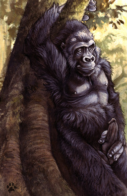against_natural_surface against_surface against_tree anthro armpit_hair balls black_body black_fur body_hair erection fur genitals holding_penis leaning_against_tree looking_at_viewer male nipples nude nude_anthro nude_male penis plant solo tree blotch scratches_volume_4 ape gorilla haplorhine mammal primate 2010 hi_res traditional_media_(artwork)