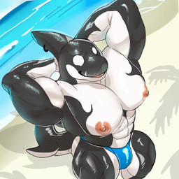 abs anthro beach big_muscles big_pecs clothed clothing fin fin_piercing furgonomic_piercing furgonomics glistening glistening_body hands_behind_head head_fin male muscular muscular_male nipples outside pecs piercing solo thong thong_only topless underwear underwear_only demondragoncyan aquatic cetacean dolphin mammal oceanic_dolphin orca toothed_whale 1:1 hi_res