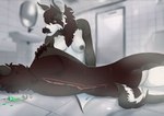 female film_scenes fur gore gore_focus hair herm intersex male male/female nipples nude solo tail the_substance_(film) wings crazy-z bat leaf-nosed_bat mammal microbat vampire_bat yangochiropteran 2024 absurd_res colored digital_drawing_(artwork) digital_media_(artwork) hi_res story