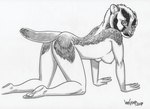 2009 absurd_res all_fours anthro badger breasts butt female greyscale hi_res looking_back mammal monochrome mustelid musteline nipples solo susan_van_camp traditional_media_(artwork)